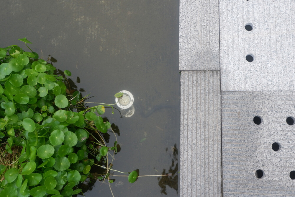 鼓楼医院