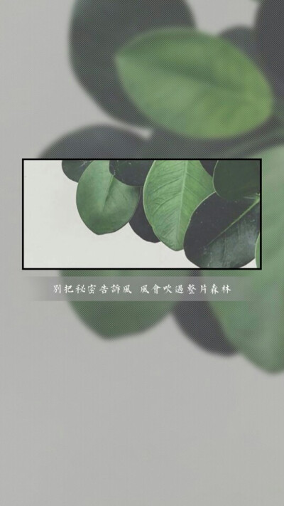 【画中画】文字壁纸