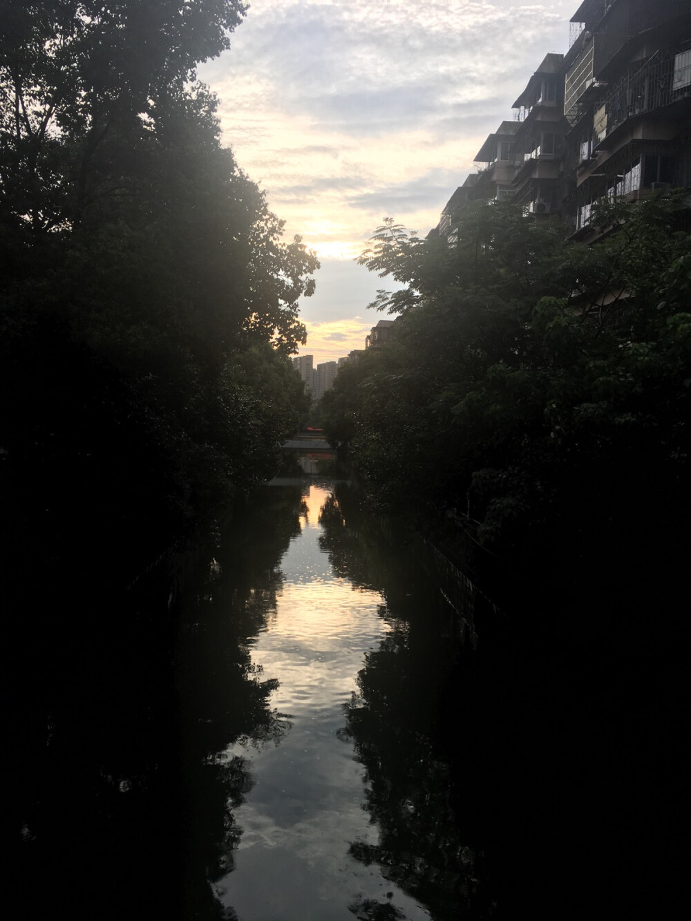 其实这是雨天