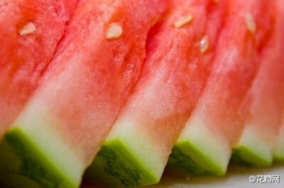 夏天只有吃西瓜和睡觉才是正经事！O网页链接 ​​​​