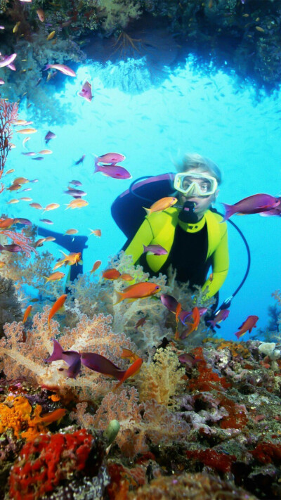 斐济海洋潜水 风景 #华为日推#