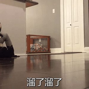 溜了溜了