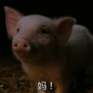 妈！！！