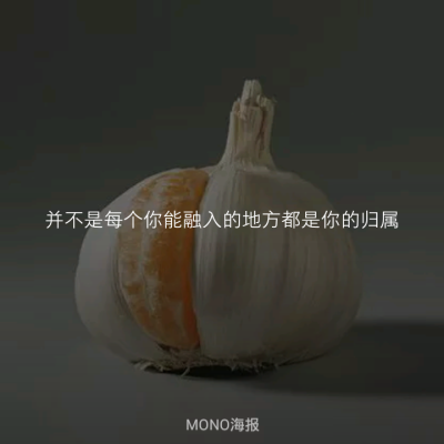 哲学来一发