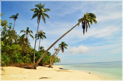 Malaysia Borneo, Sabah, Mantabuan Island
马来西亚婆罗洲 沙巴州属 曼达布安岛