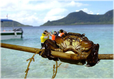 Malaysia Borneo, Sabah, Mantabuan Island
马来西亚婆罗洲 沙巴州属 曼达布安岛