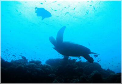 Malaysia Borneo, Sabah, Mataking Island 马来西亚婆罗洲 沙巴州属 马达京島