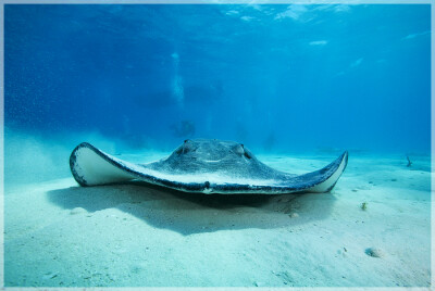 Malaysia Borneo, Sabah, Mataking Island 马来西亚婆罗洲 沙巴州属 马达京島