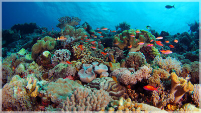 Malaysia Borneo, Sabah, Mataking Island 马来西亚婆罗洲 沙巴州属 马达京島