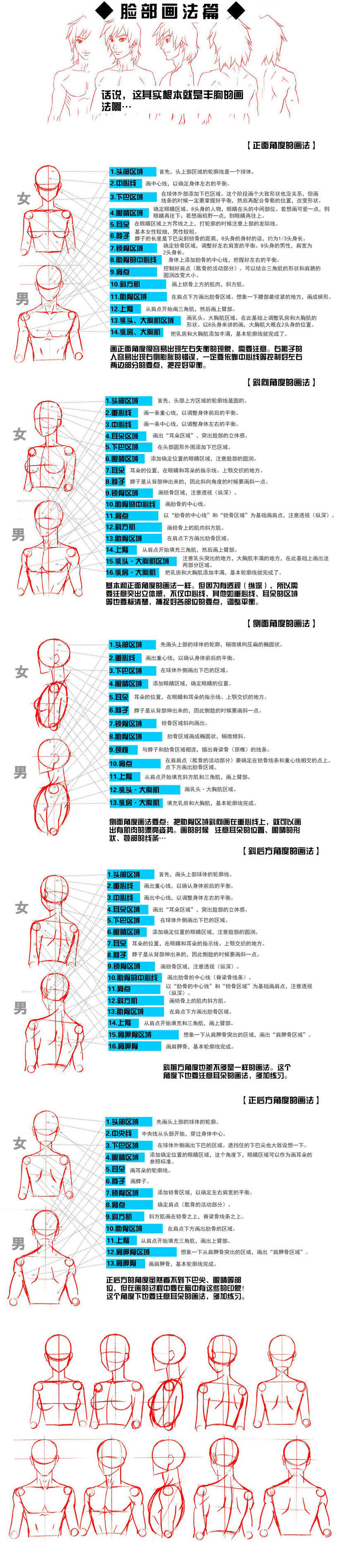 5个不同角度脸部五官画法详解