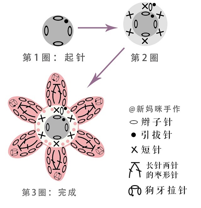 风信子花毯