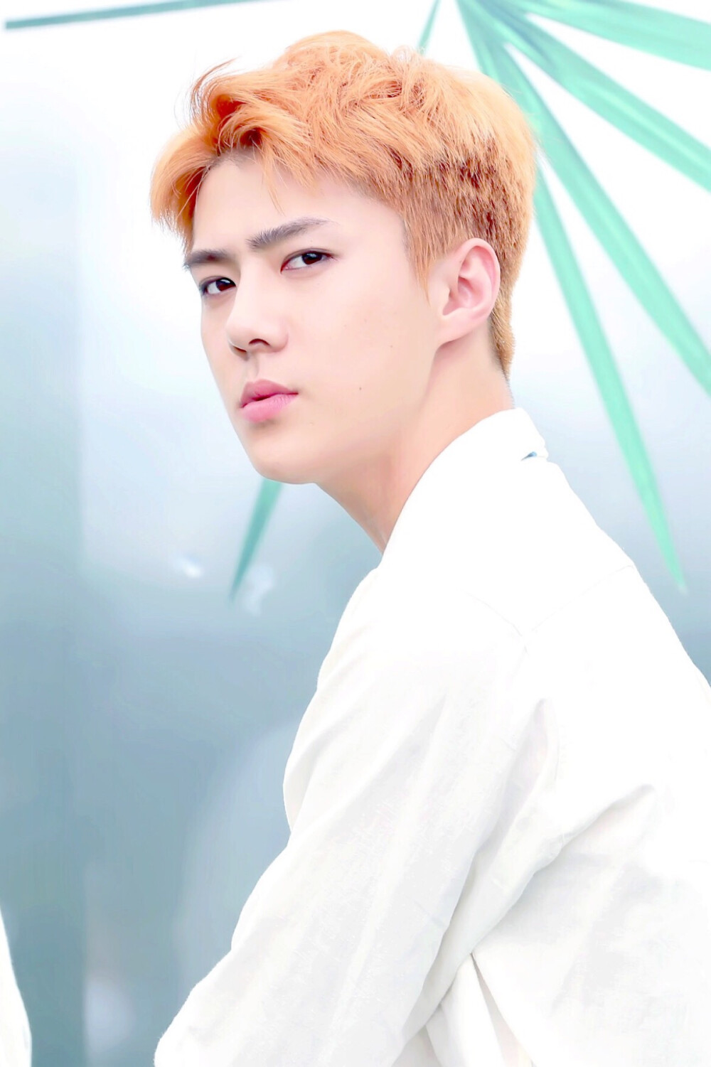 SeHun.吴世勋.EXO