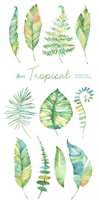 手绘水彩 树叶 植物 小清新 平面设计 手账 贴纸 素材 绿色