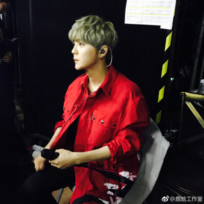 呆萌傻狍子 鹿晗 Luhan #壁纸 #头像