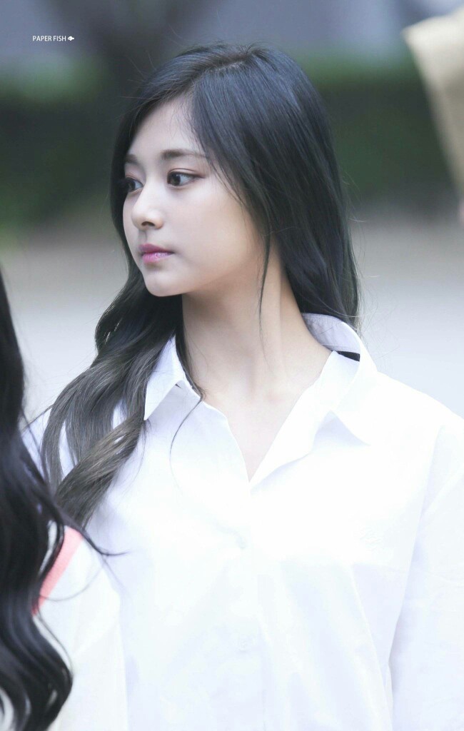 周子瑜 쯔위 Tzuyu
TWICE成员