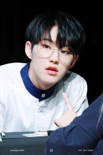 seventeen 权顺荣 hoshi