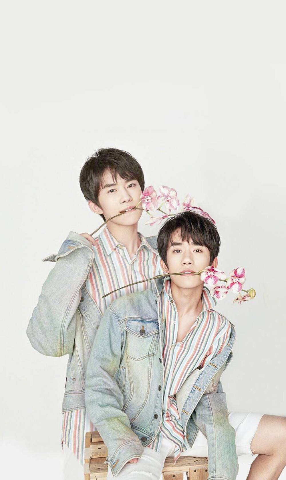 谁教你们这么撩！