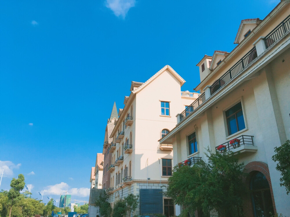 澳熊原创 蓝天 背景图 干净 天空 景物拍摄