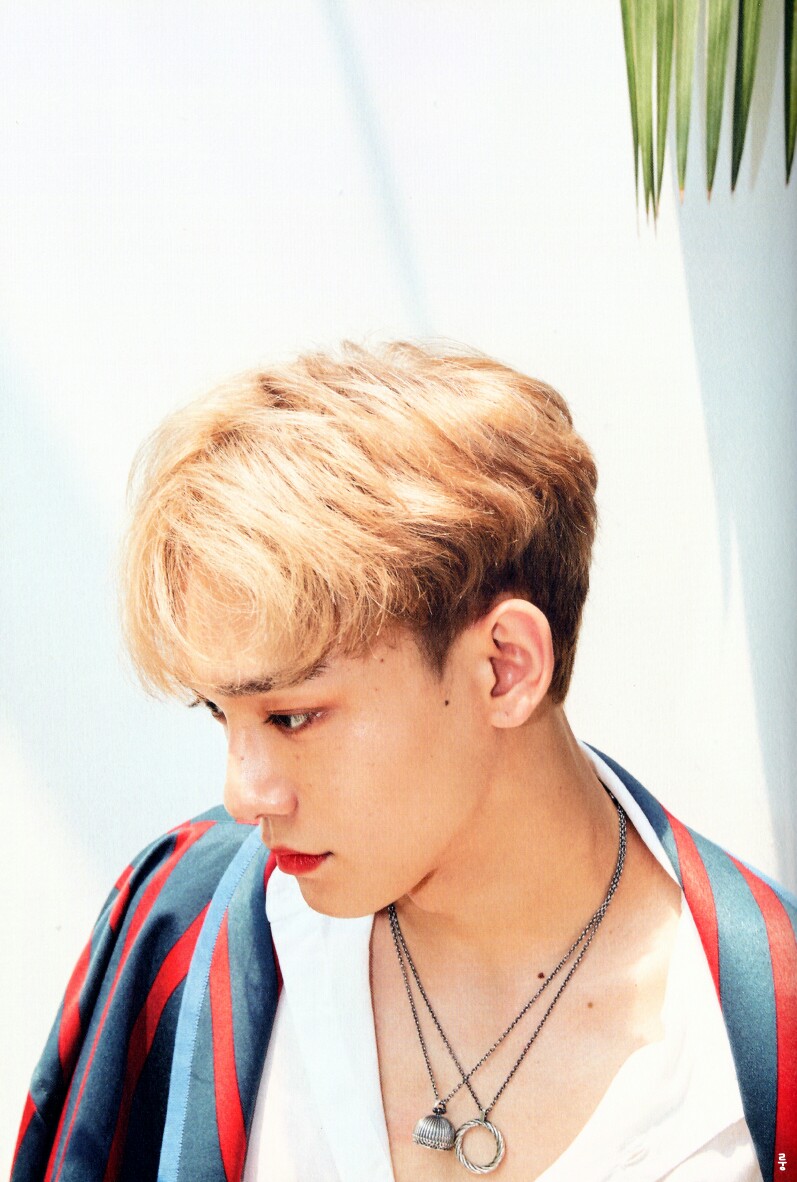 EXO 《The war》金钟大~CHEN