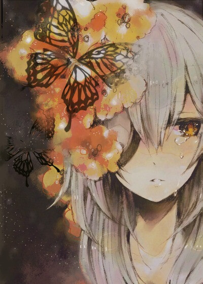 我永远也不及你那双自由的羽翼