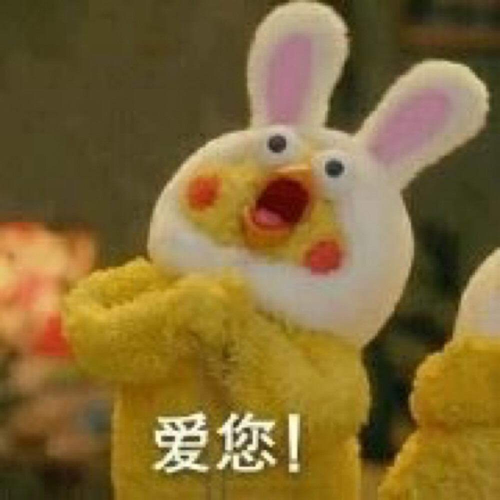 鹦鹉兄弟表情包