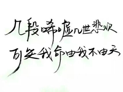 几段唏嘘，几世悲欢，可笑我命由我不由天。