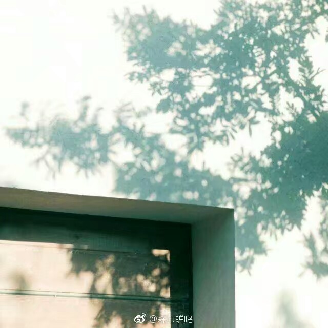 小清新风景头像 摄影