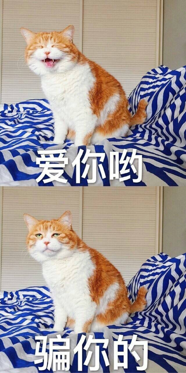 最AI小鱼干