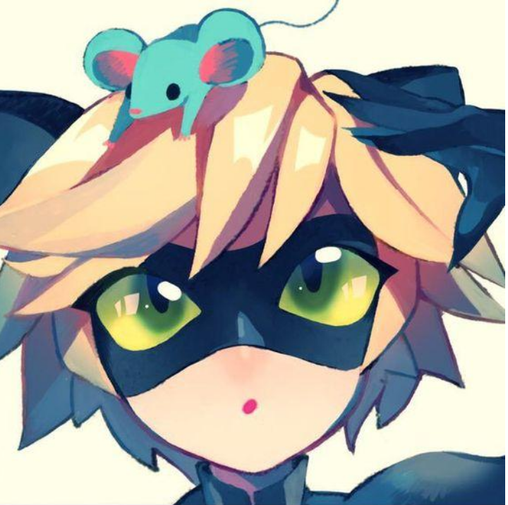 miraculousladybug瓢虫少女瓢虫雷迪黑猫诺儿艾俊knowyourmeme