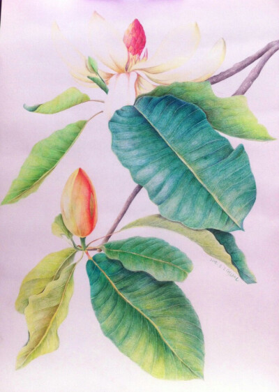 IMG_2013_2345看图王_看图王