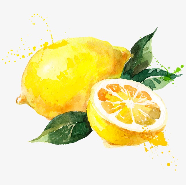 水彩绘柠檬·