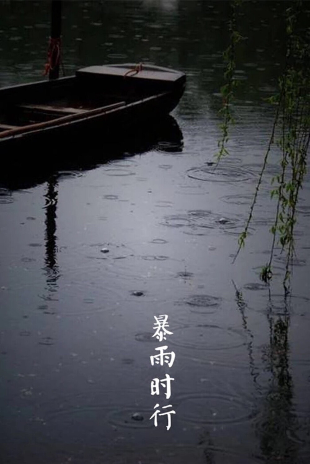 【中国节气：大暑】热在中伏，竹荫遮窗。暴雨时行，荷塘夜色，萤火亮晚。蒲扇邀凉，凉食败火。掩扉思倦，卧席听蝉。
《月令七十二候集解》中说：暑，热也，就热之中分为大小，月初为小，月中为大，今则热气犹大也。其气候特征是，斗指丙为大暑，斯时天气甚烈于小暑，故名曰大暑。 ​​​