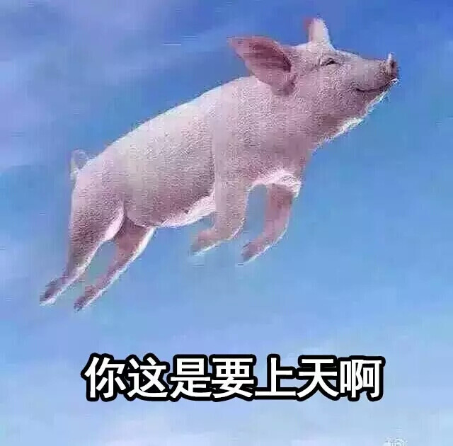 你这是要上天啊