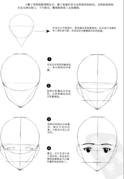 脸型的画法