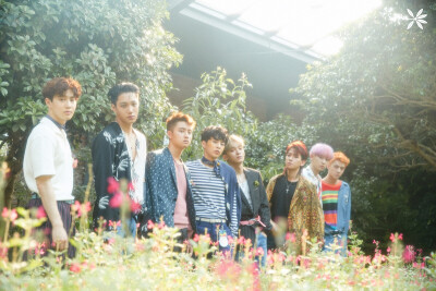 KOKOBOP