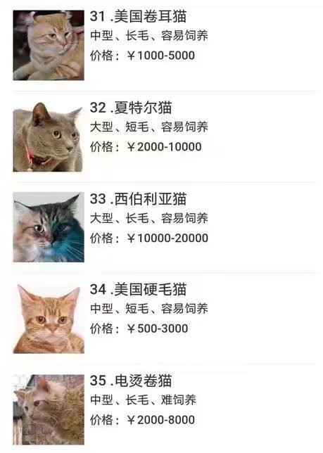 码住 我想我一定会有猫的！