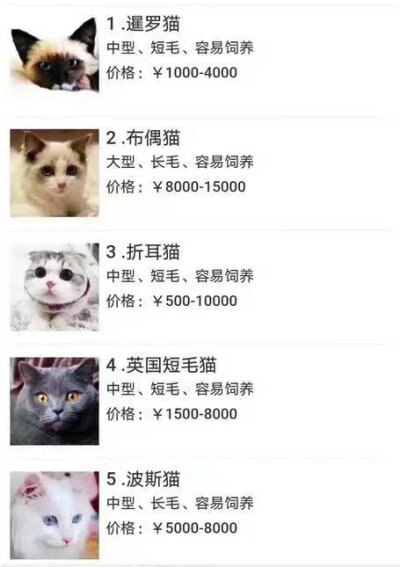 码住 我想我一定会有猫的！