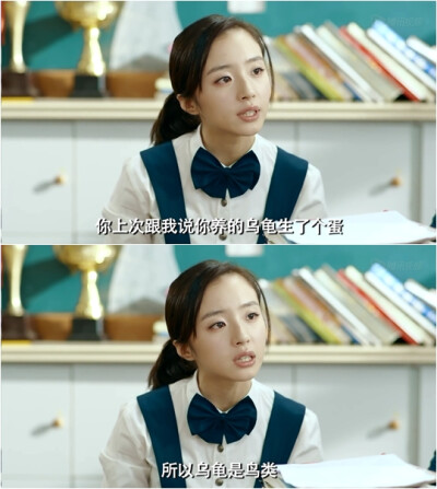 乌龟会下蛋，所以它是一种鸟类
《腾空的日子》