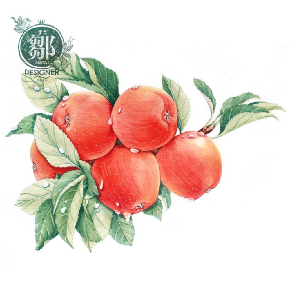 小清新水果苹果手绘彩铅插画