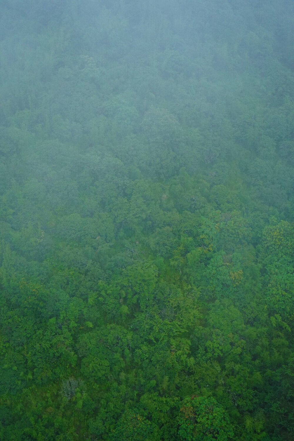 苍山