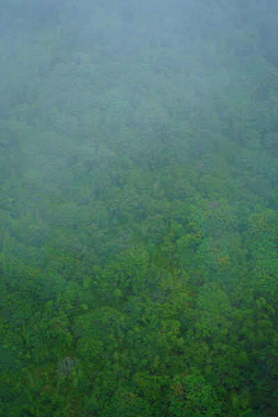 苍山