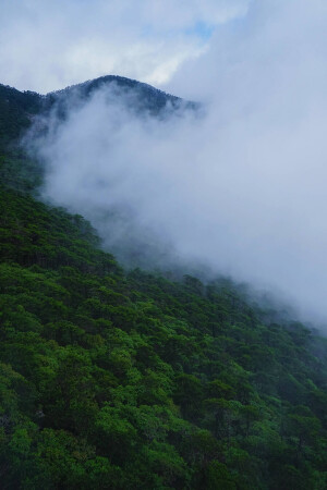 苍山