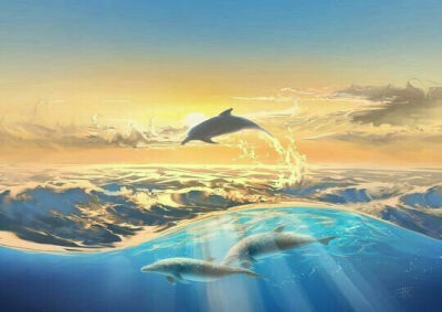 壁纸 海洋 海豚