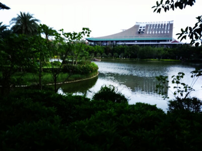 厦门大学