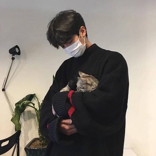 男头男与猫