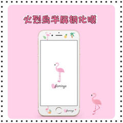 火烈鸟透明手机钢化膜0.3毫米iphone6splus苹果7玻璃保护前膜包邮