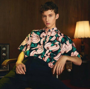 Troye Sivan 戳爷