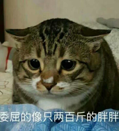 委屈