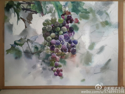#水彩手绘# 葡萄…
来自微博@郭耀武水彩
