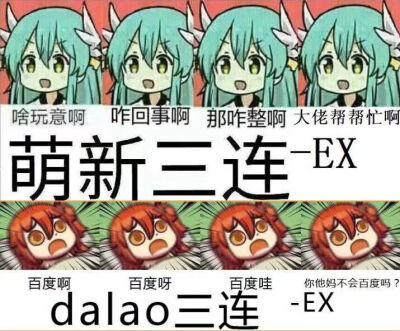 萌新三连和dalao三连